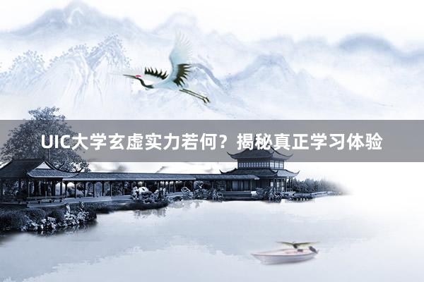 UIC大学玄虚实力若何？揭秘真正学习体验