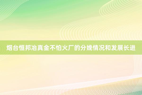 烟台恒邦冶真金不怕火厂的分娩情况和发展长进