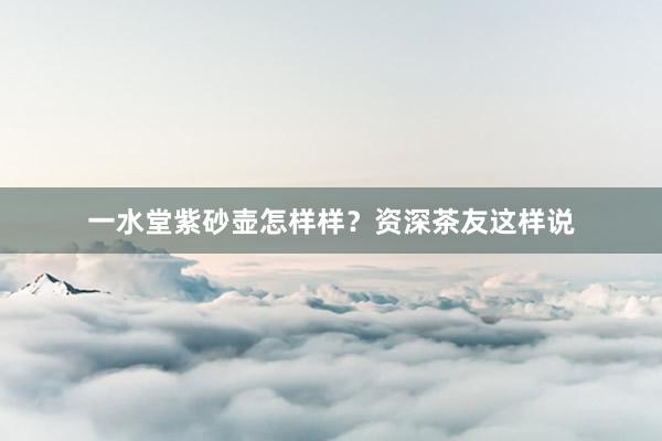一水堂紫砂壶怎样样？资深茶友这样说